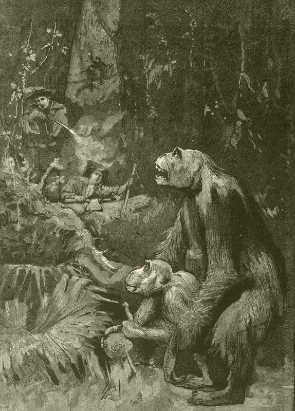 Hjem til gorillaen (gravering) av English School