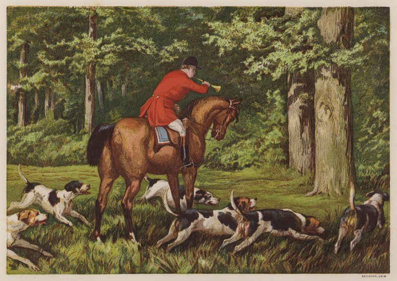 Jakt med hunder (farge litho) av English School