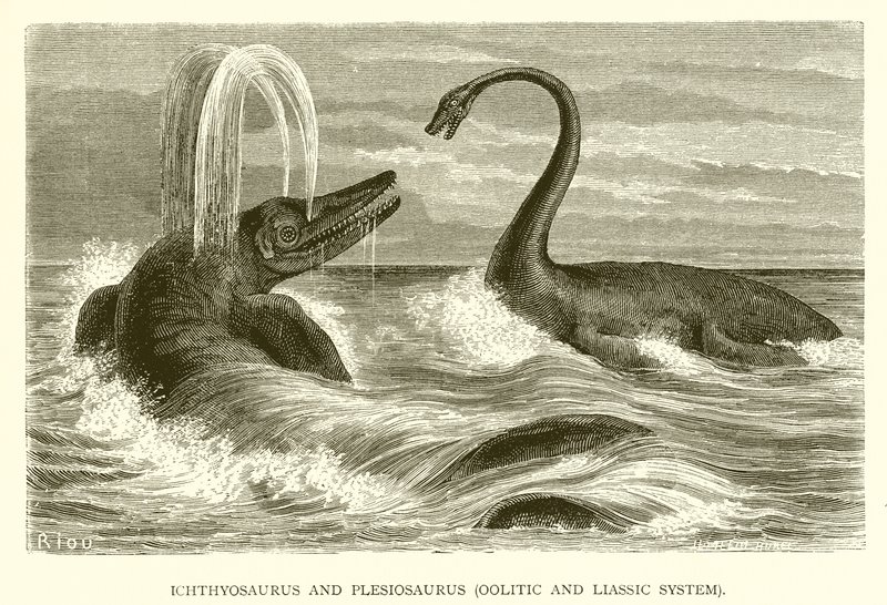 Ichthyosaurus og Plesiosaurus, Oolitic and Liassic System av English School