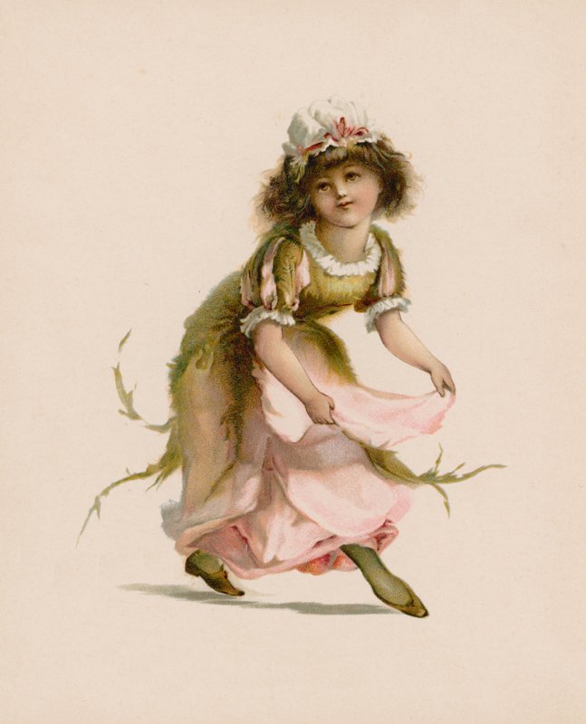Illustrasjon for The Language Of Flowers av English School