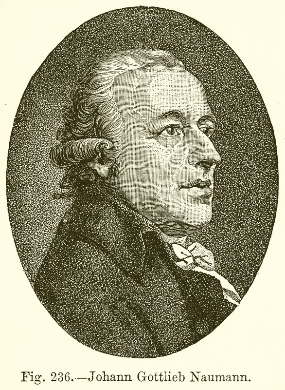 Johann Gottlieb Naumann av English School