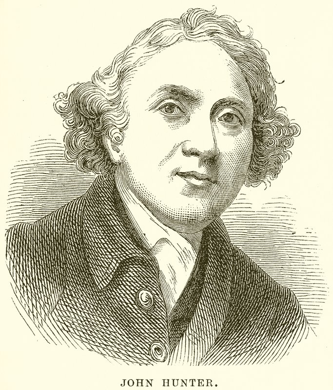 John Hunter av English School