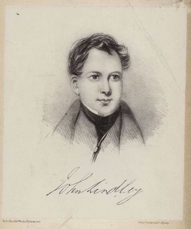John Lindley av English School