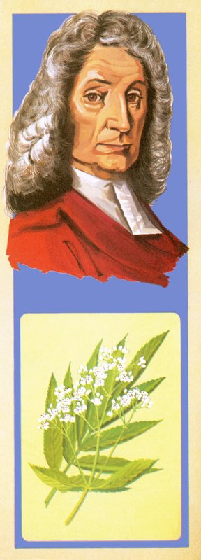 John Ray av English School