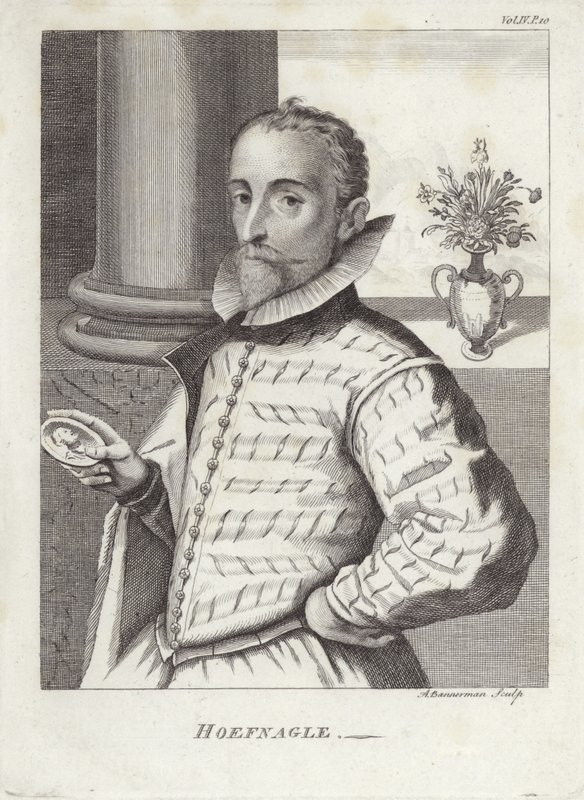 Joris Hoefnagel av English School