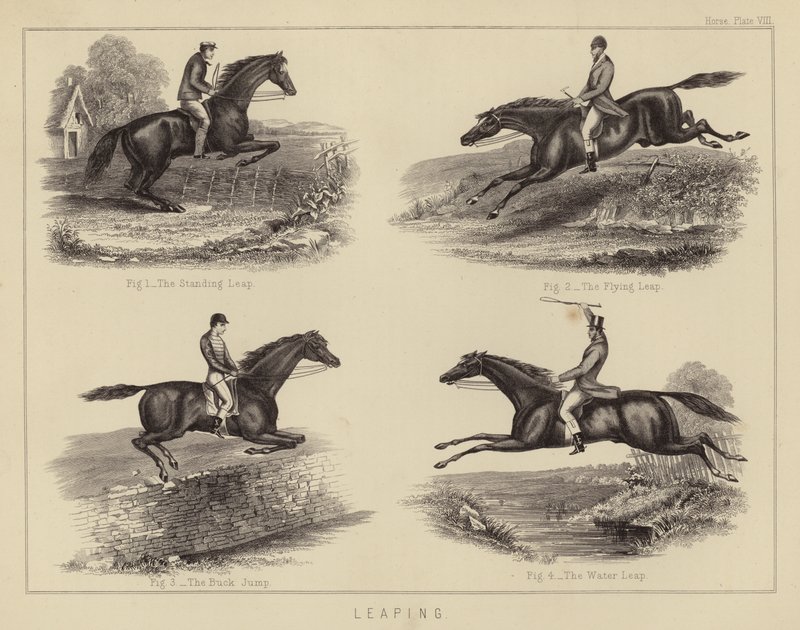 Leaping (farge litho) av English School