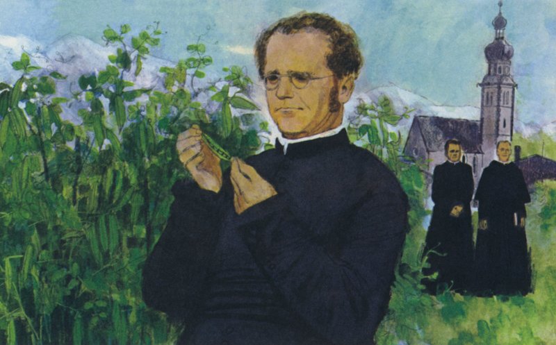 Mendel studerer i klosteret av English School
