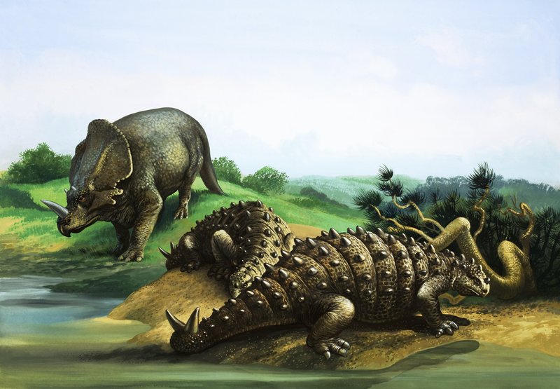 Monoclonius og Scolosaurus av English School