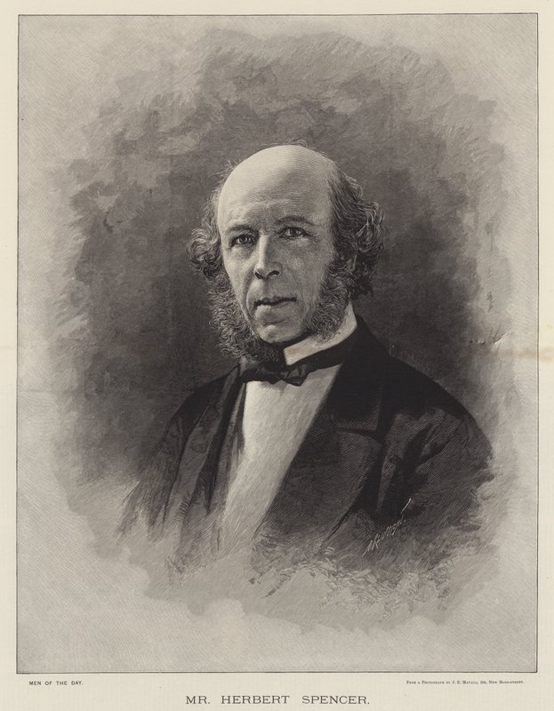 Herbert Spencer (gravering) av English School