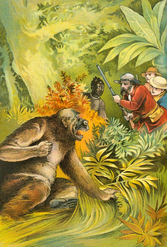 Vår første gorilla av English School