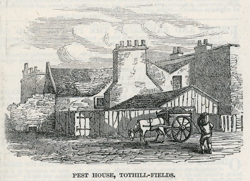 Pest House, Tothill Fields av English School