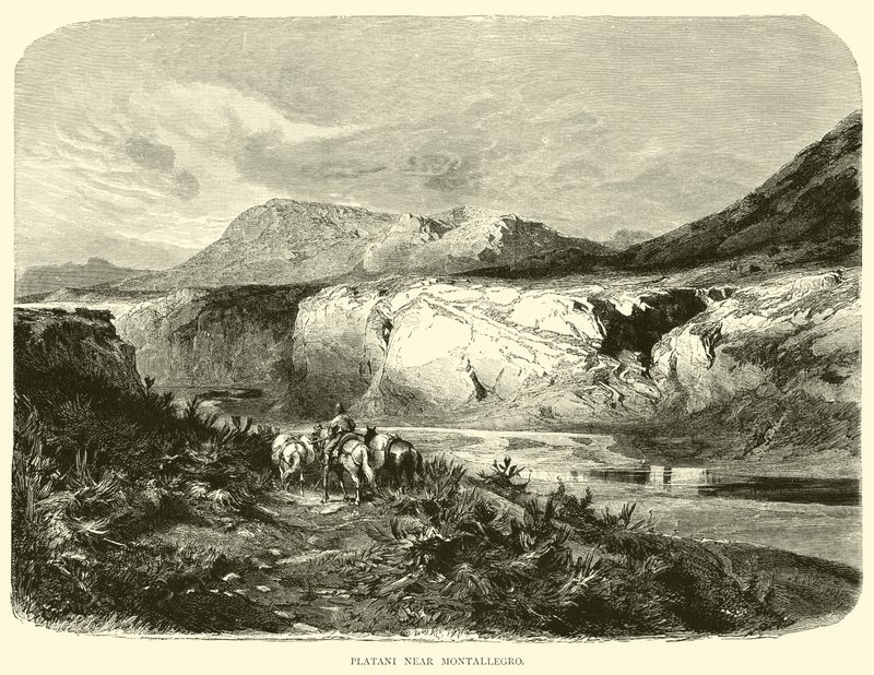 Platani nær Montallegro av English School