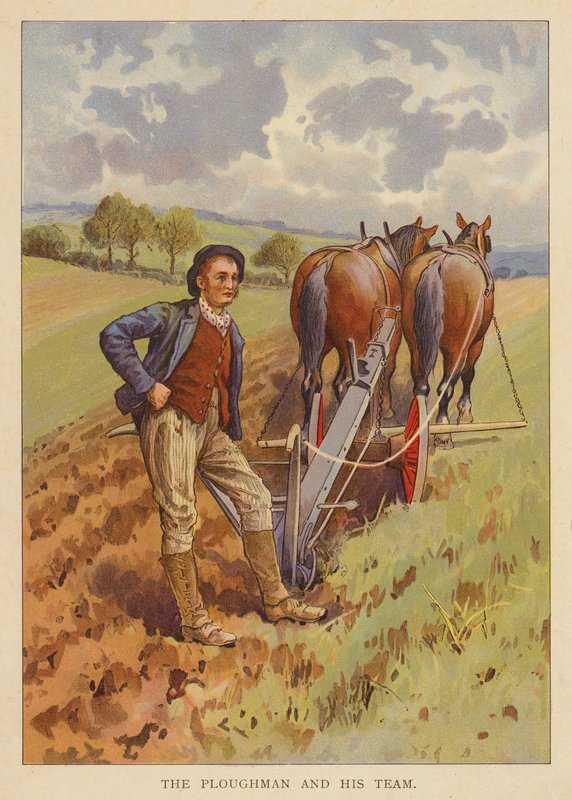 Ploughman og teamet hans (farge litho) av English School