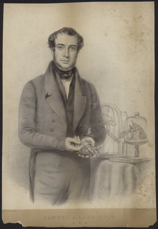 Portrett av Samuel Armstrong Lane av English School