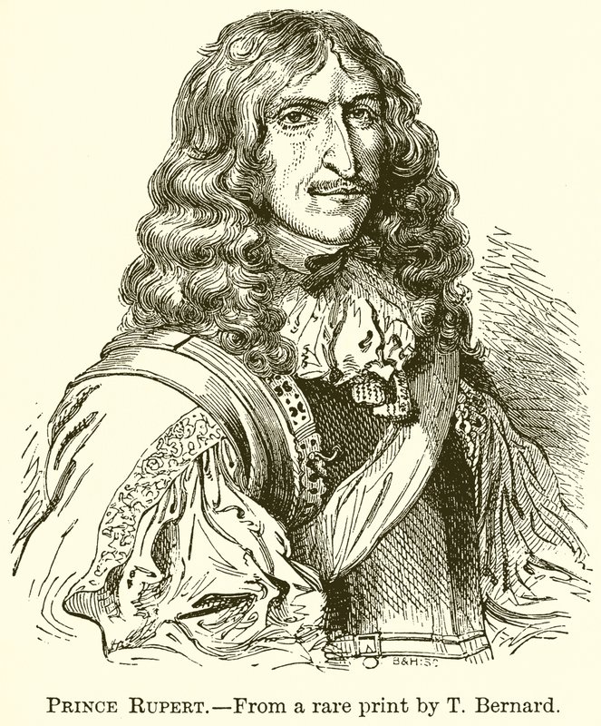 Prins Rupert av English School