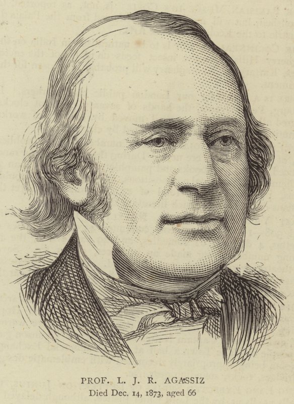 Professor LJR Agassiz (gravering) av English School