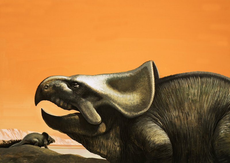 Protoceratops av English School