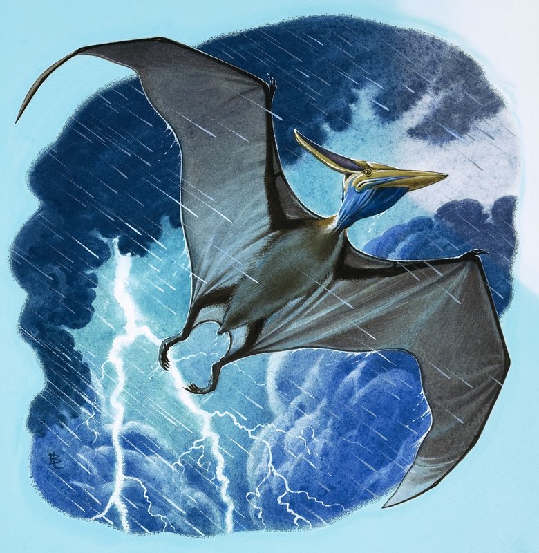 Pterodactyl av English School