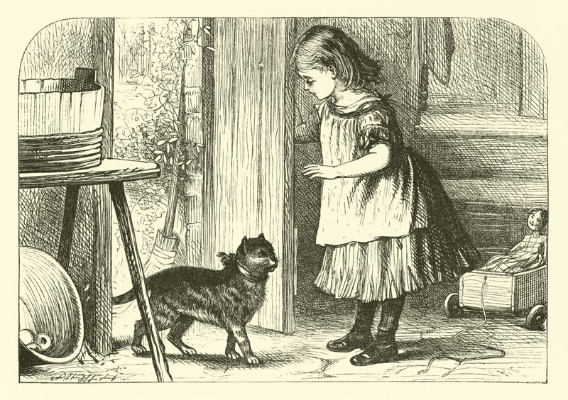 Pus-katt, Pus-katt av English School