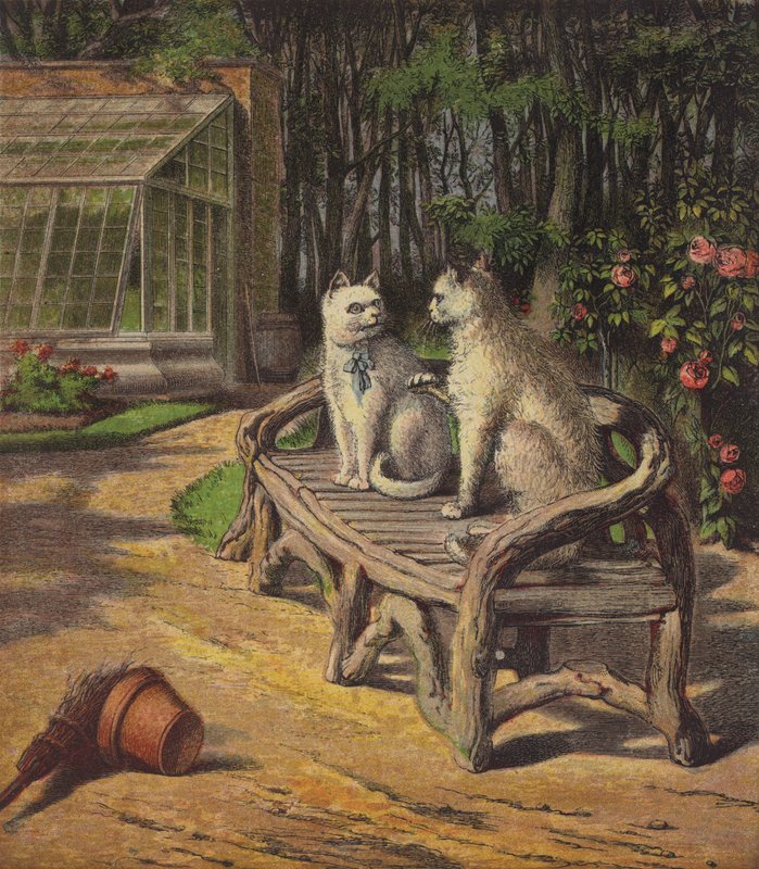 Pussy