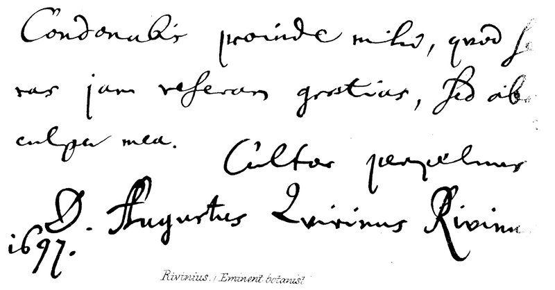 Rivinius, (eminent botaniker) av English School