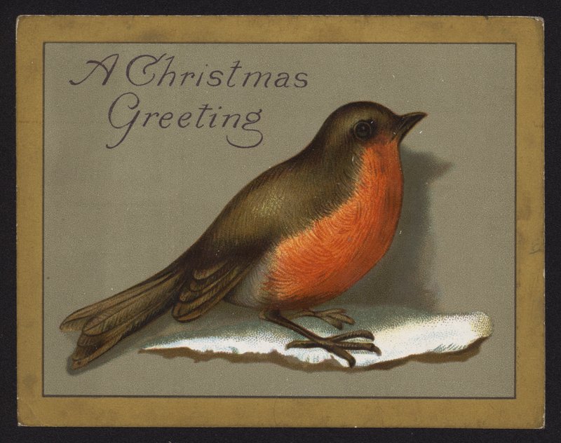 Robin (chromolitho) av English School