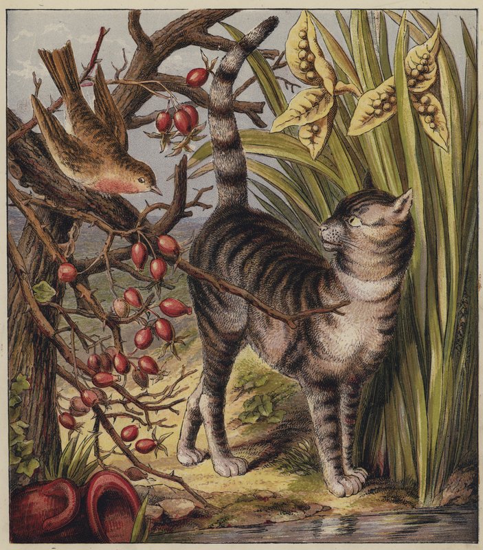 Robins julesang (farge litho) av English School