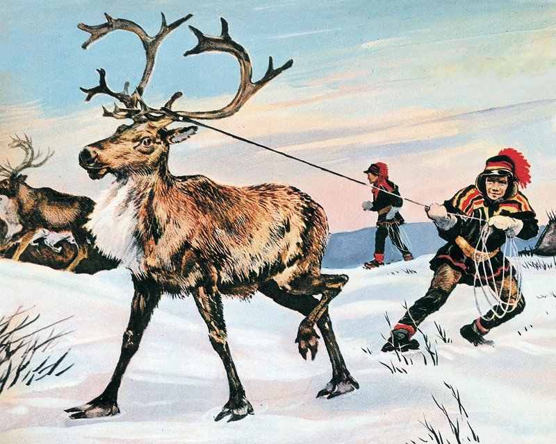 Rudolphs nese er aldri rød av English School