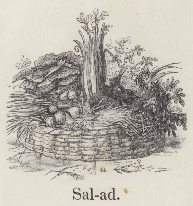 Salat (gravering) av English School