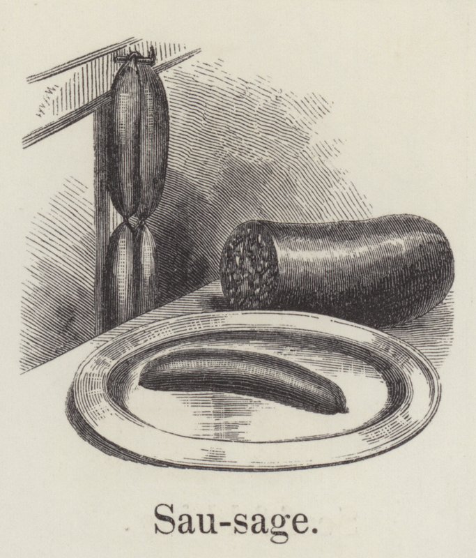 Pølse (gravering) av English School