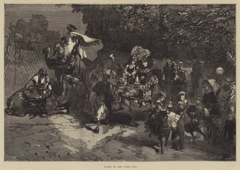 Scene i Paris Zoo (gravering) av English School