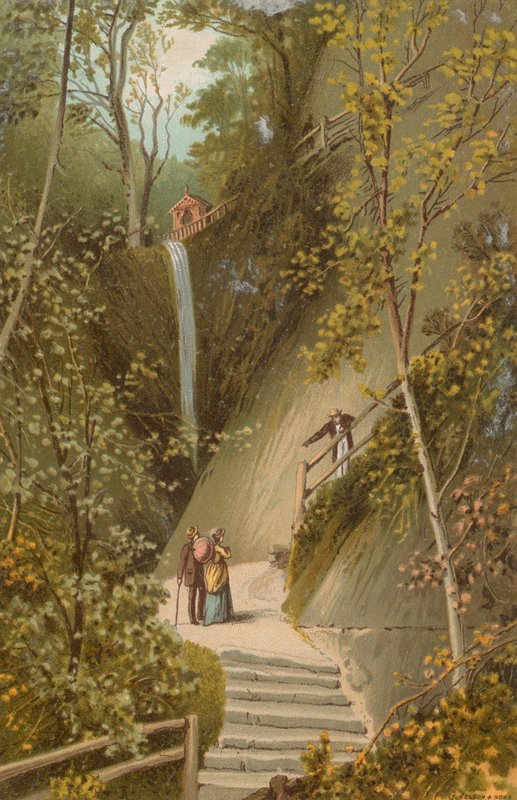 Shanklin Chine - Isle of Wight av English School