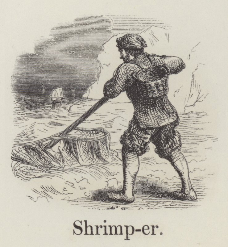 Shrimper (gravering) av English School