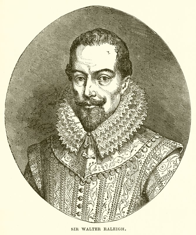 Sir Walter Raleigh av English School