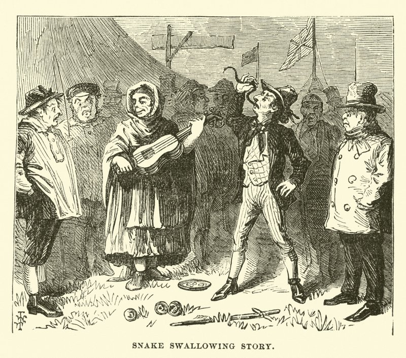 Slangesvelgehistorie av English School