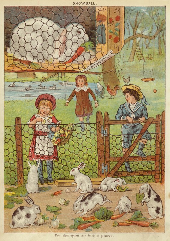Snøball (chromolitho) av English School