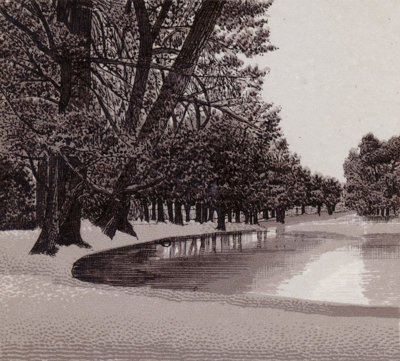 Sophia Gardens, Cardiff (litho) av English School