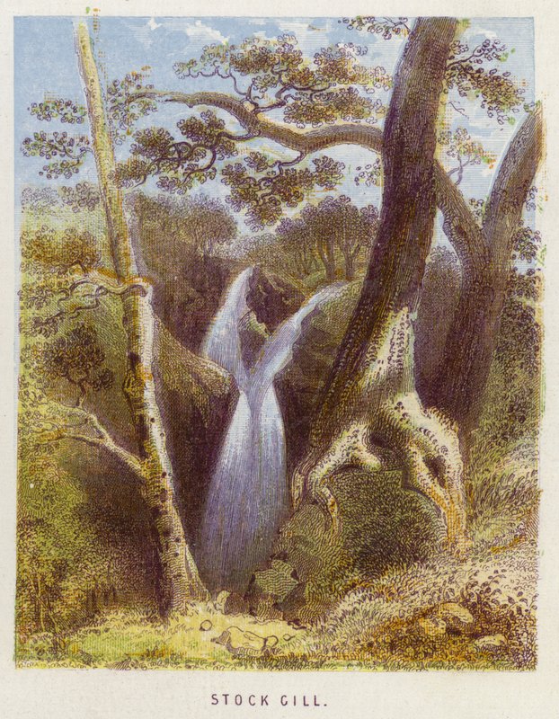 Stock Gill (farge litho) av English School