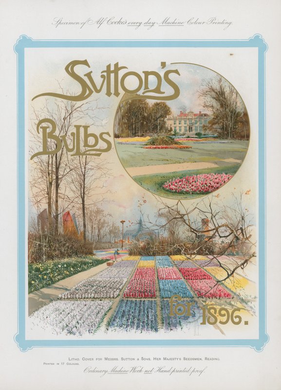 Suttons-pærer for 1896 av English School
