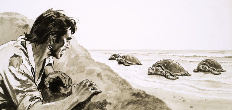 The Castaways: Terror of Turtle Island av English School