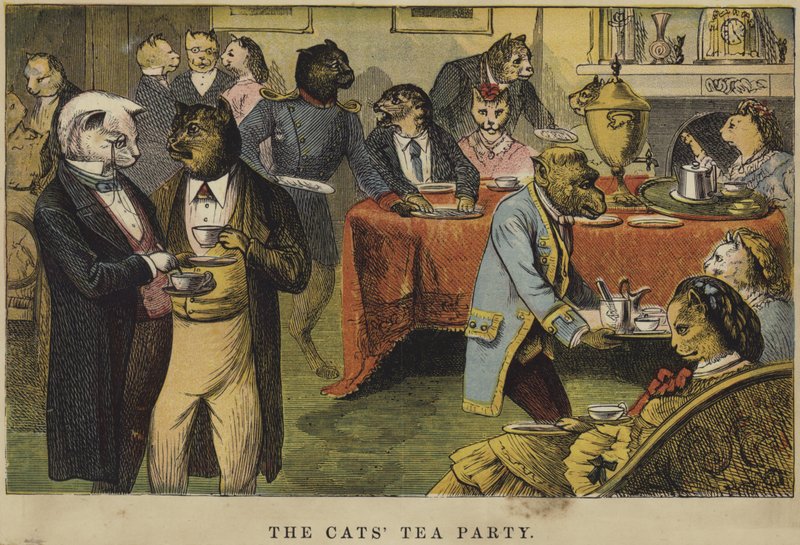 The Cats Tea Party av English School