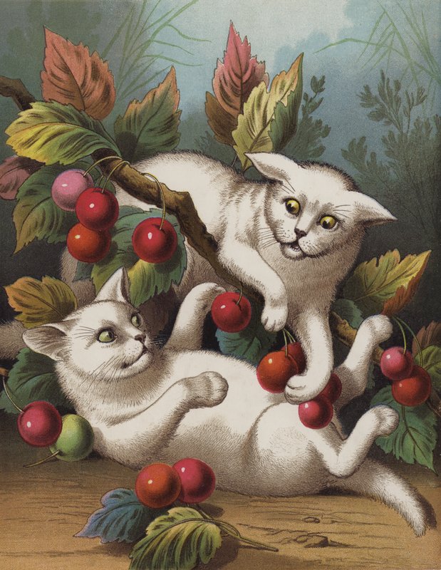 The Cross Kitten (chromolitho) av English School