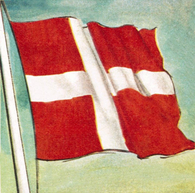 Det danske flagget av English School