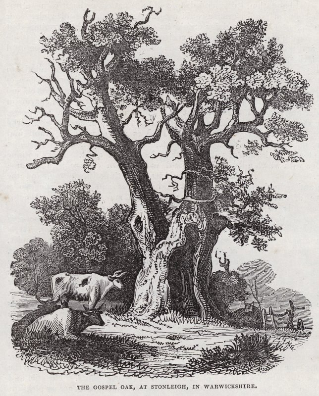 The Gospel Oak, Stonleigh, Warwickshire (gravering) av English School