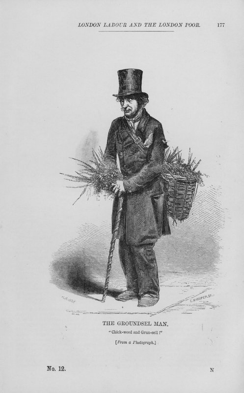 The Groundsel Man (gravering) av English School