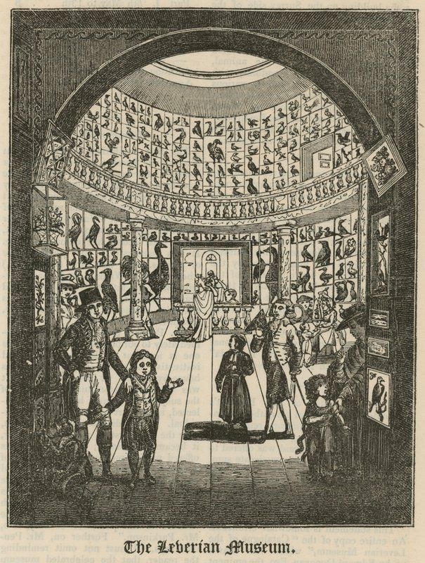 Leverian-museet av English School