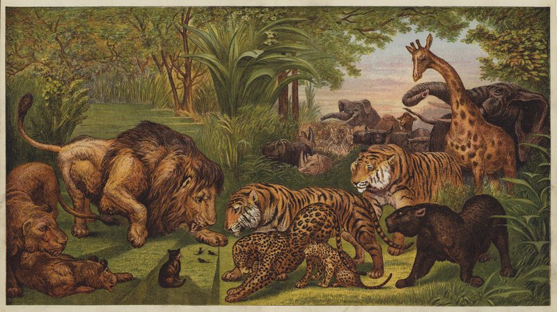 Løvens mottak (farge litho) av English School