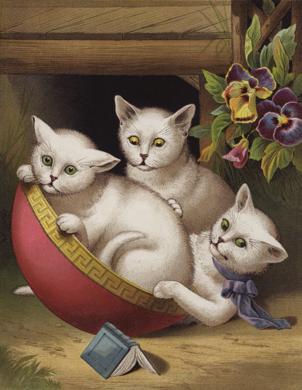 The Merry Kitten (chromolitho) av English School