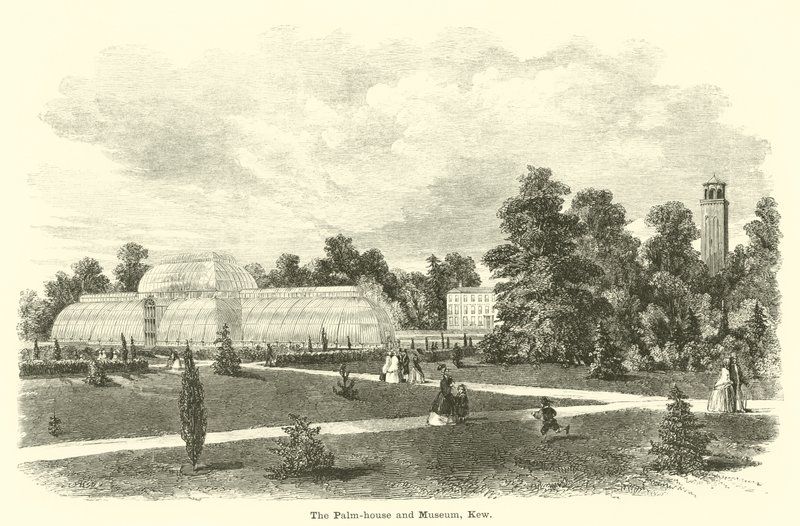 Palmehuset og museet, Kew av English School