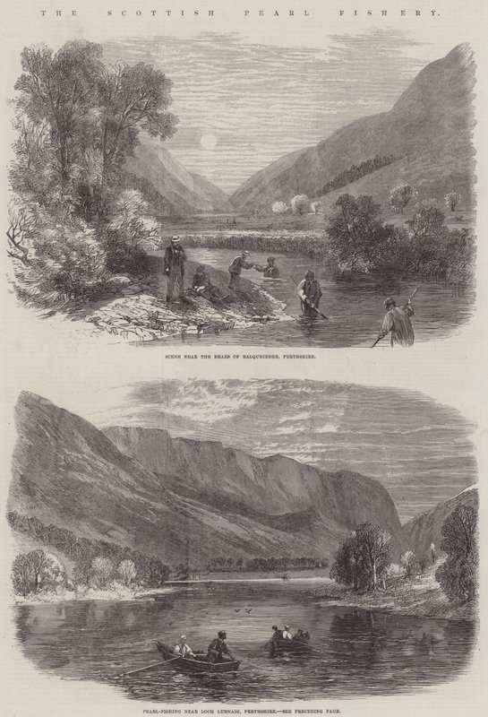 The Scottish Pearl Fishery (gravering) av English School